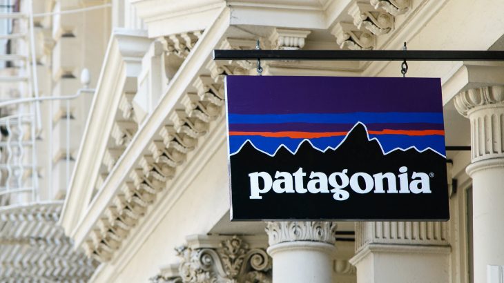 Patagonia has become even more obviously involved in politics, directly endorsing two Democratic candidates in red states.