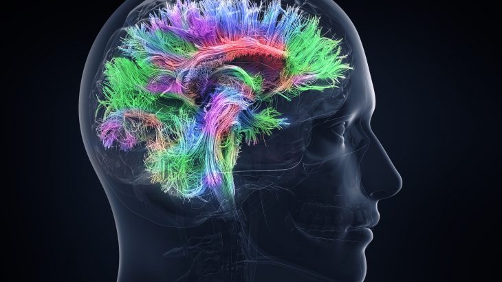 A renowned neuroscientist has discovered a hidden region of the human brain that could hold to the key to treating Parkinson’s.