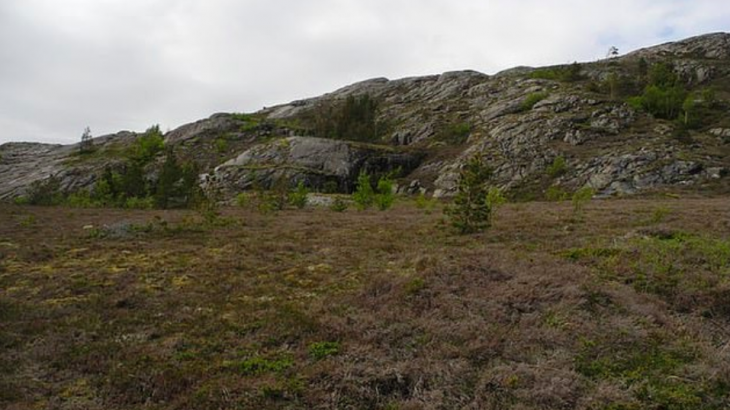 The Arctic is turning brown, as periods of extreme warming and snowmelt across large areas of the Arctic is causing vegetation to die off.