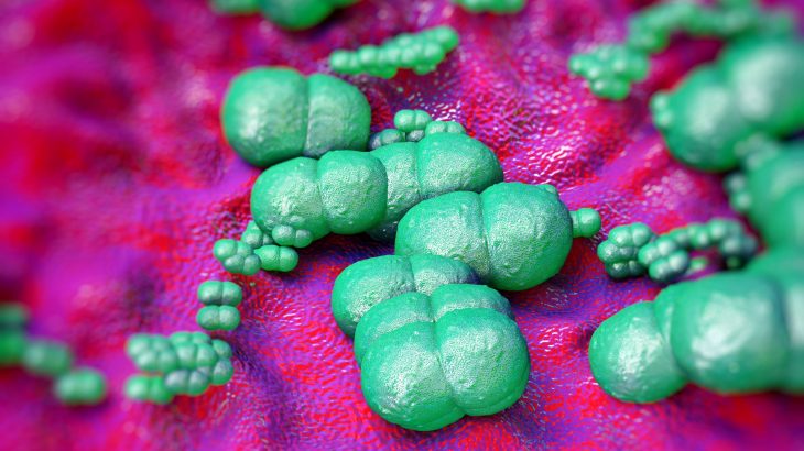 Staphylococcus epidermidis is becoming increasingly antibiotic-resistant and is a major driver of life-threatening infections after surgery.