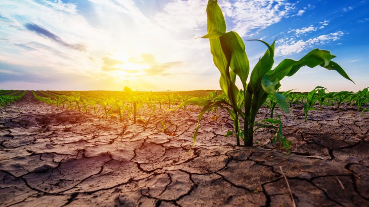 A new study from Stanford University has found that hot and dry conditions are becoming more common as a result of global warming.
