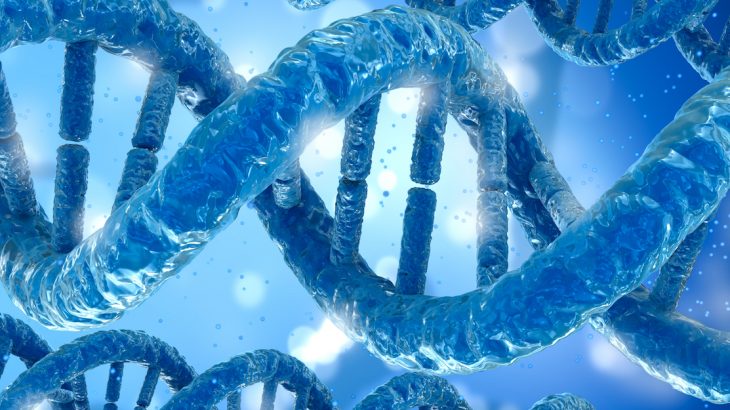 Researchers at the Cincinnati Children's Hospital Medical Center have found that mitochondrial DNA can be inherited from both parents.