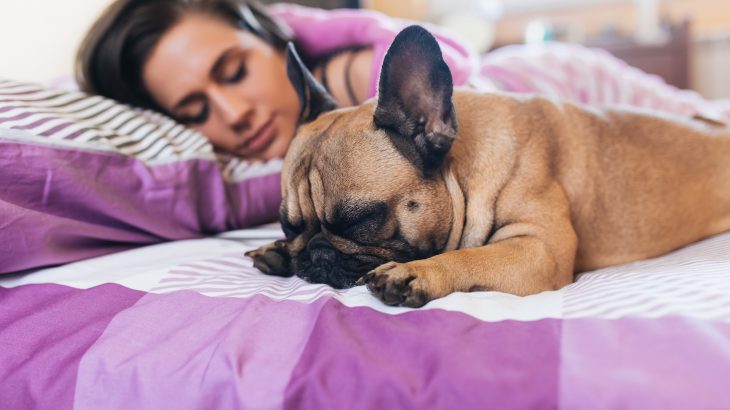 According to a new study, women actually get better sleep laying beside their dogs than they do when they sleep next to their human partners.