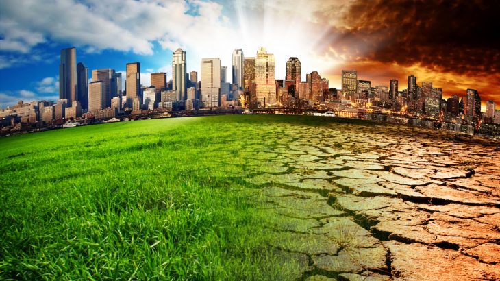 Climate change will greatly increase the risk of an “extinction domino effect” that could ultimately wipe out every species on our planet.