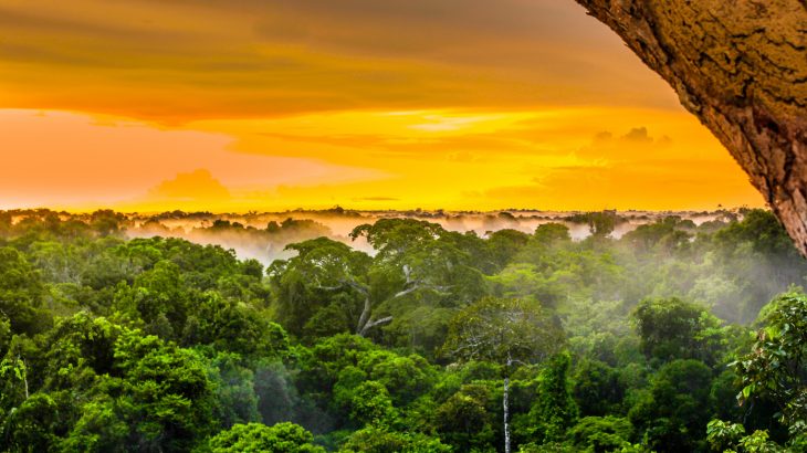 A change in regulation has opened up an enormous amount of land for development in the Amazon that is roughly the size of Ireland.