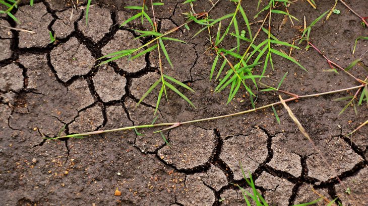 The 4 per 1000 Initiative argues that the answer to mitigating climate change and increasing carbon storage lies in the soil.