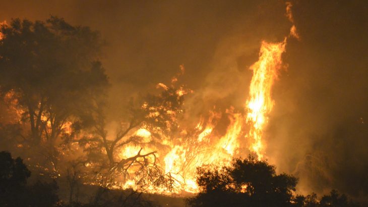 Large amounts of mercury are released into the atmosphere during forest fires, but some of the mercury gets trapped in ash instead.
