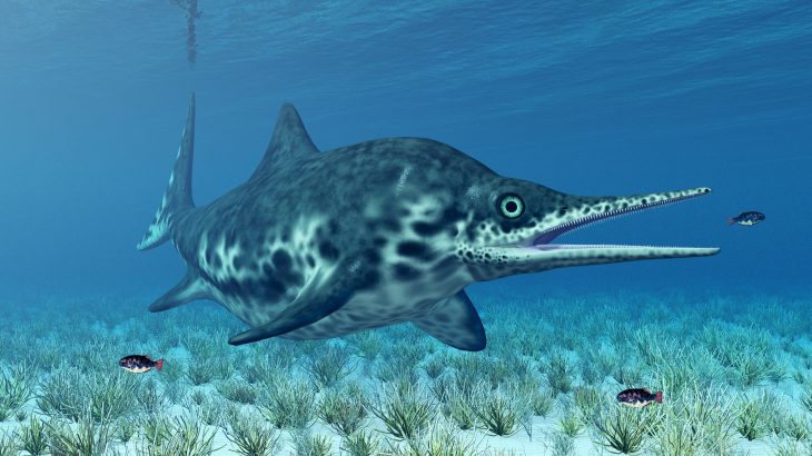 Researchers analyzed the remains of an ichthyosaur and found evidence that the extinct marine reptiles were likely warm-blooded.