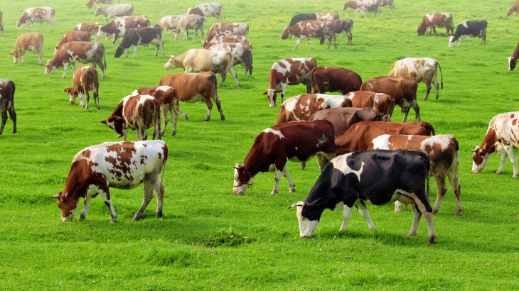 Experts are reporting that the inefficient use of land for agriculture is a major contributor to harmful greenhouse gas emissions.