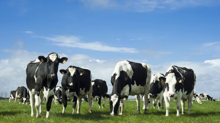 A new study has found that implementing carbon pricing in the farming industry could reduce emissions by 50 percent.