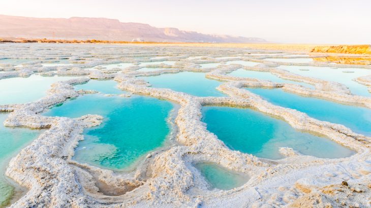 Archaeologists have discovered plant fossils in present-day Jordan in the Middle East that date back to before the Permian Extinction.