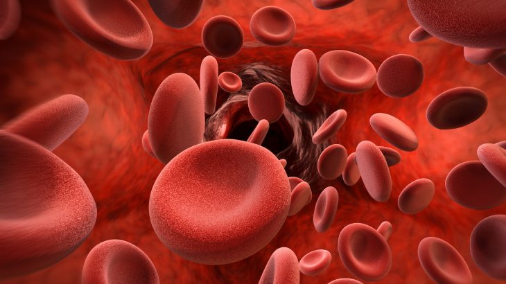 Researchers have discovered that there are age and health-related differences in fragments of DNA located in the bloodstream.
