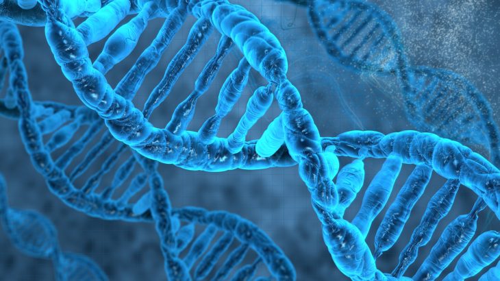Researchers have collected traces of DNA from birch bark pitch that was chewed by a woman over 6,000 years ago.