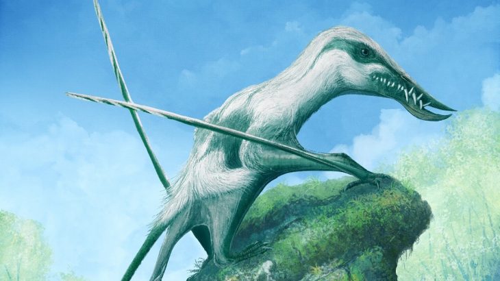 A new study has revealed previously unknown details of well-armed flying reptiles from British Jurassic fossils.