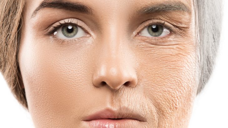 A team of researchers have identified how dermal fibroblasts develop into fat cells and why they stop doing so as people age.