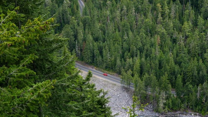Federally mandated fire suppression tactics have caused forests to become more drought and fire intolerant across the US.