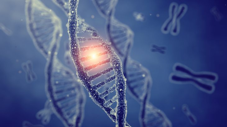 DNA replication was first described in the late 1950s, and scientists have been working ever since to explain how this process is regulated.