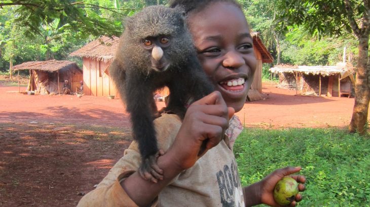 A team of researchers has identified ways that human interactions with nonhuman primates may be putting people at risk of new diseases.