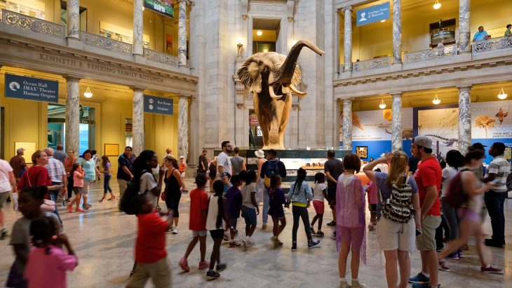 On Friday at midnight, the Environmental Protection Agency (EPA) began the process of temporarily laying off employees.