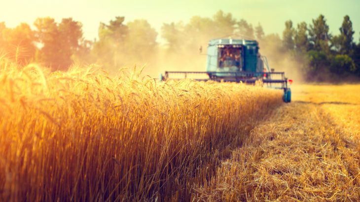 If climate change will negatively impact crop production, what will that mean for a quickly growing population of people on Earth?