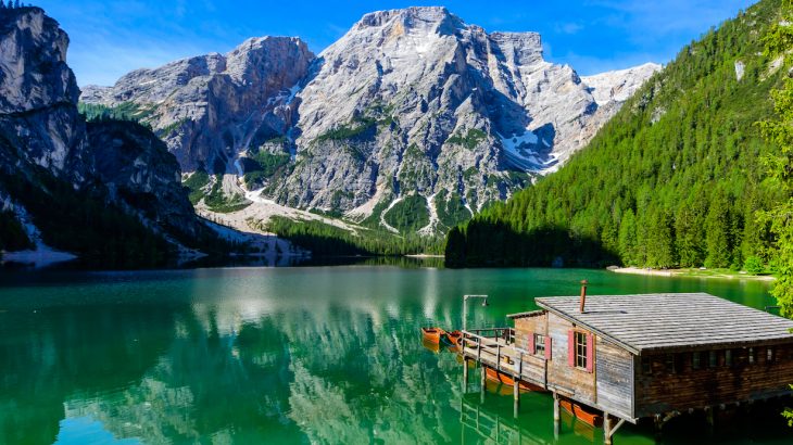 The specimen, which represents largest predatory dinosaur from the Jurassic time, was uncovered in the Italian Alps.
