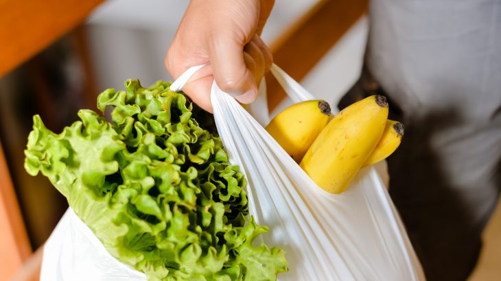 South Korea has banned plastic shopping bags in supermarkets and put hefty fines in place for shops that don’t adhere to the new ruling.