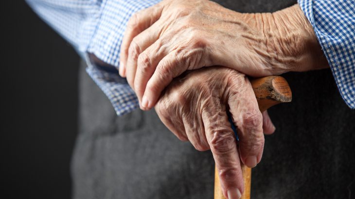Researchers at the University of Michigan Life Sciences Institute have found the cause of declining motor function in aging worms.