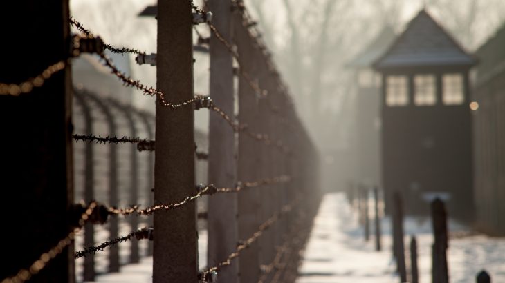 A quarter of all Holocaust murders occurred within a single three-month period during the murder campaign, Operation Reinhard.
