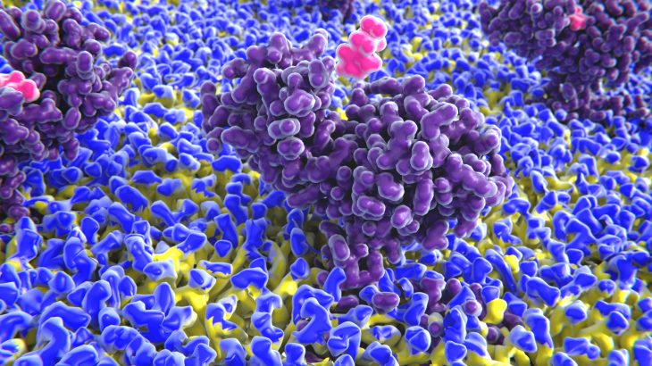 Researchers at the University of Tokyo have discovered that histamine-boosting drugs can help certain patients improve their long-term memory.