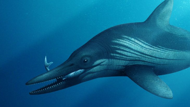 Scientists used CT scanning technology to digitally reconstruct the ancient reptile skull and unearth the mysteries that have surrounded it.