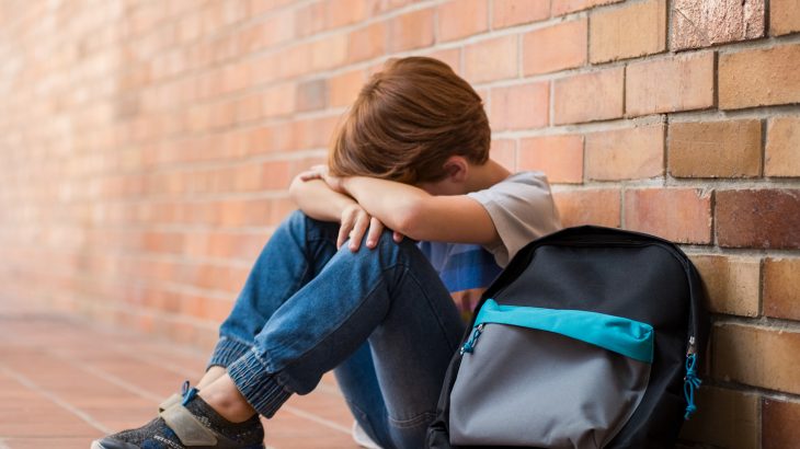 Researchers recently found that being bullied shrinks two parts of the brain that can affect certain behaviors like emotional processing.