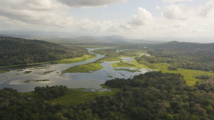 While investing in ecosystem services to be performed by landowners could be helpful, the potential drawbacks must also be considered.