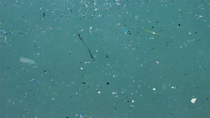 Microplastic contamination is extremely widespread throughout lakes, rivers, and even in food and beverage supplies.