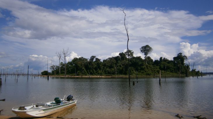 Experts are warning that mega-dams are too damaging to ecosystems and biodiversity in lowland tropical forest regions.