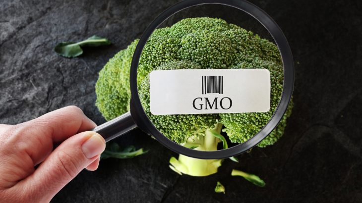 Those who are the most opposed to genetically modified foods believe they know the most about GM food science, but actually know the least.