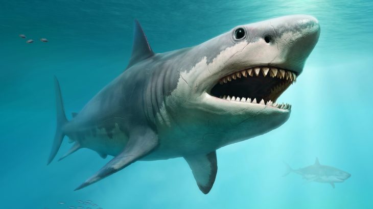 A study led by astrophysicist Adrian Melott at the University of Kansas may solve the mystery of what happened to the giant megalodon.