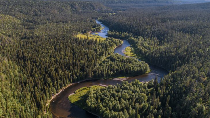 A team of scientists has found that declining water availability in a warmer climate will limit the growth of forests worldwide.