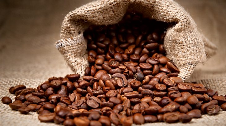 A new study has revealed that dozens of species of wild coffee are at risk of vanishing as a result of climate change and deforestation.