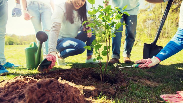 Researchers argue that positive parochialism can inspire a larger awareness of global environmental issues and spur people to action.