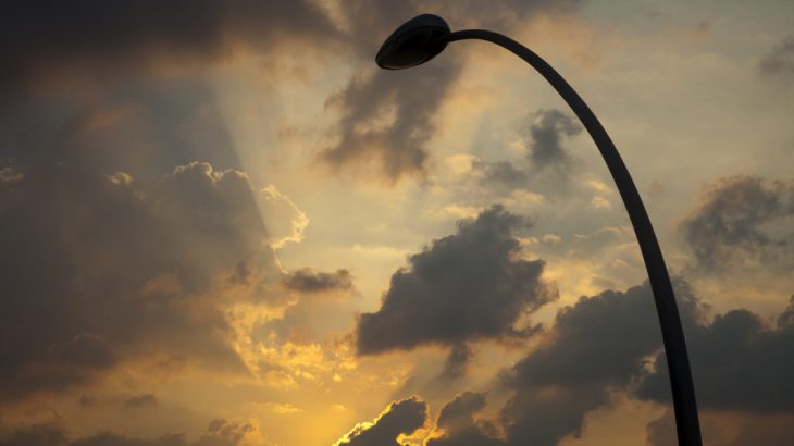 Turning off street lights for a couple of hours a night could help moths and other key pollinators.
