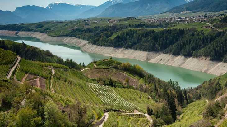 A new study has revealed that the growing popularity of Prosecco may come along with a high environmental cost.