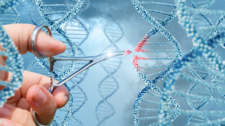 China has confirmed that the scientist who oversaw the birth of the world’s first gene-edited babies acted illegally.