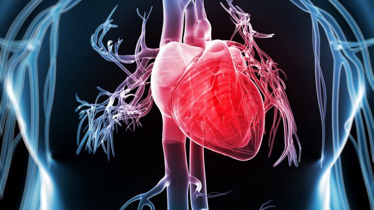 A new study has found that complications at birth can increase the risk of heart disease for offspring later in life.