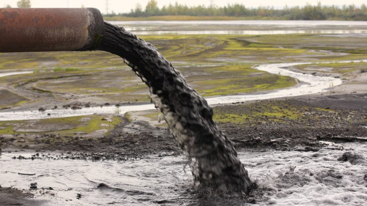 What many environmentalists may not understand is that destruction of the environment often hurts people of color more than white people.