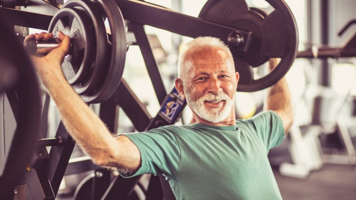 A new study has revealed that the cell control centers which regulate the development of muscle fibers persist even when our muscles shrink.