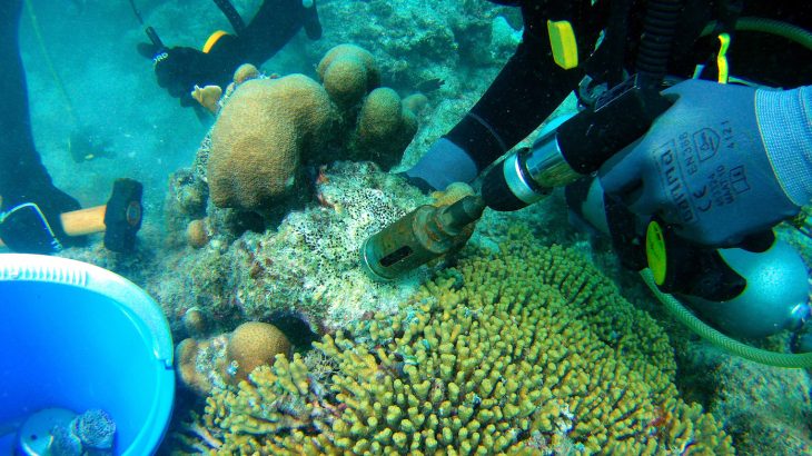 Sponges contribute to the collapse of coral reefs and this activity will speed up as atmospheric CO2 levels rise.