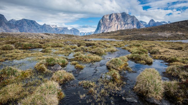 Warming in the Canadian Arctic has revealed mossy vegetation that has spent the last 40,000 years covered in ice.