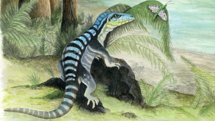 Scientists have identified a previously unknown relative of the dinosaurs that existed in Antarctica about 250 million years ago.