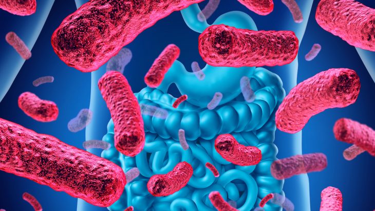 According to the researchers leading the Flemish Gut Flora Project, gut flora imbalances are linked to depression.
