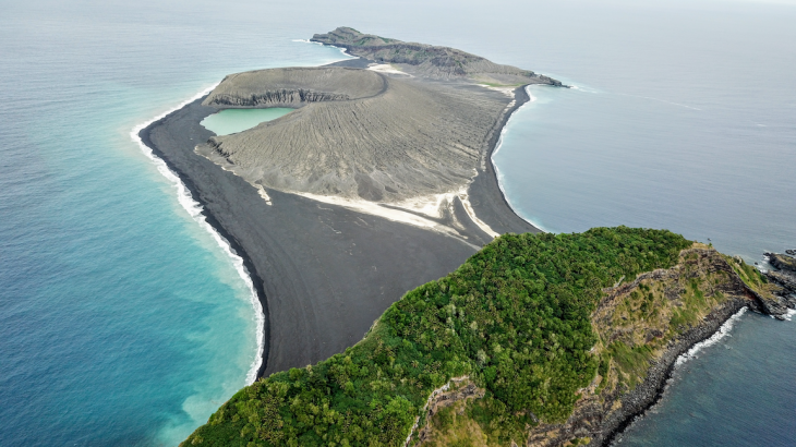 An island in the South Pacific that emerged after a volcanic eruption in 2015 is now home to hundreds of tropical birds known as sooty terns.